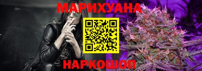 Альфа ПВП Краснознаменск
