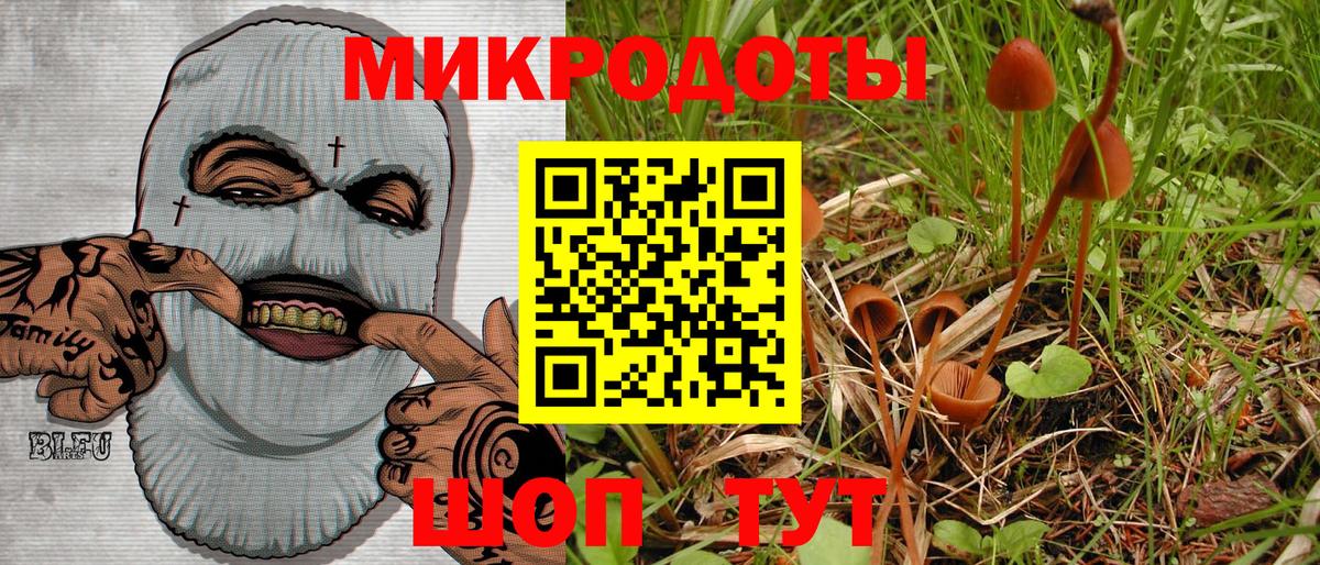 Псилоцибиновые грибы мицелий Котельники