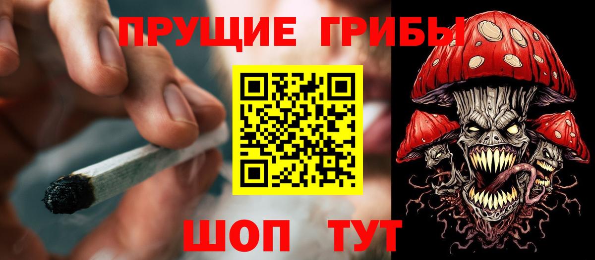 Котельники  Галлюциногенные грибы Cubensis  Вход с VPN 